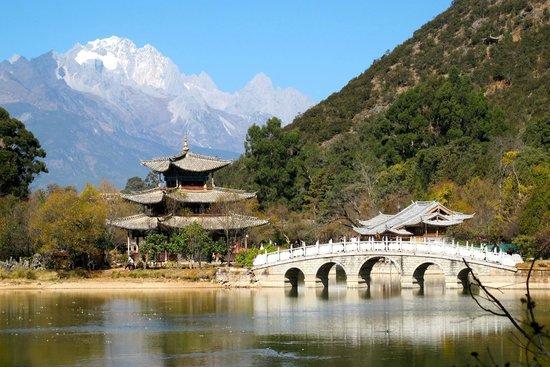 Black Dragon Pond Park